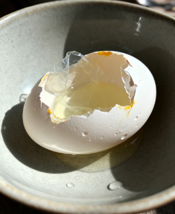 合規適配!雞蛋藥物殘留檢測儀符合國標檢測標準